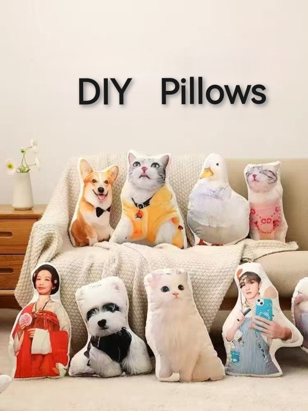 DIY  Pillows